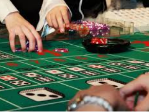 pg国际2024最新版